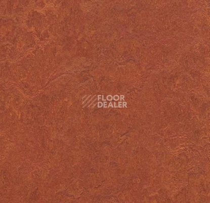 Линолеум Forbo Marmoleum Marbled Fresco 3203-320335 henna фото 1 | FLOORDEALER
